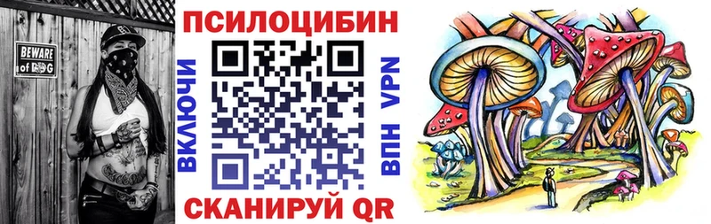 продажа наркотиков  Северская  mega ССЫЛКА  Галлюциногенные грибы Magic Shrooms 